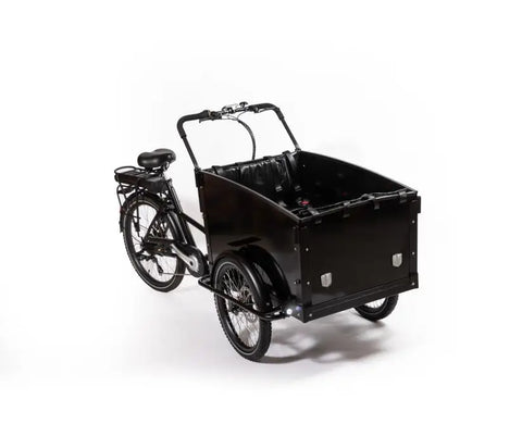 Cargo Kid Economy El-ladcykel